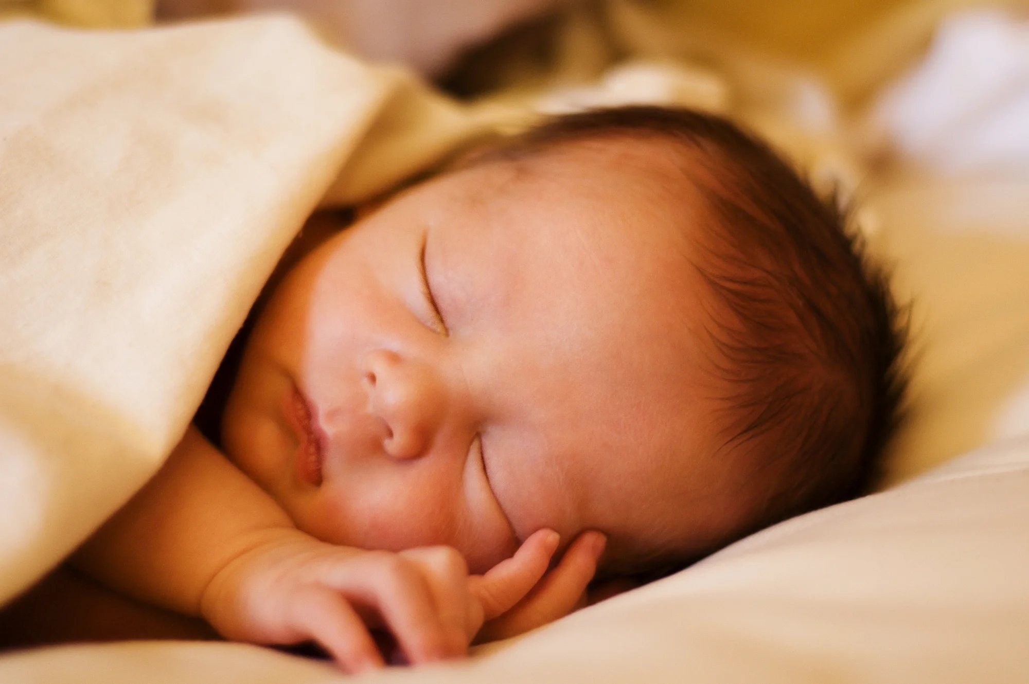 Newborn resting. Soft focus, Adobe RGB.